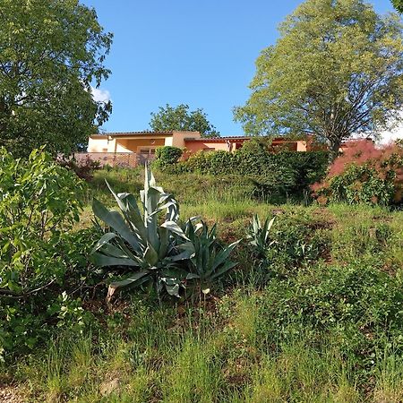 Le Moulin Villa Vallon-Pont-d'Arc Exterior photo